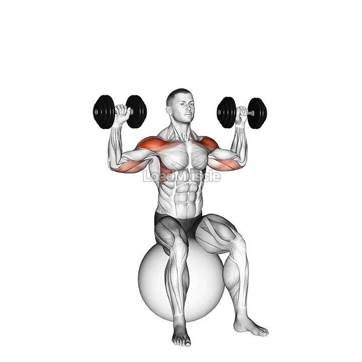 Dumbbell Seated on Exercise Ball Shoulder Press demonstration