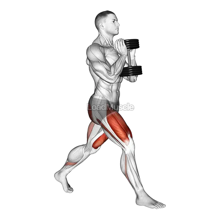 Dumbbell Goblet Split Squat demonstration