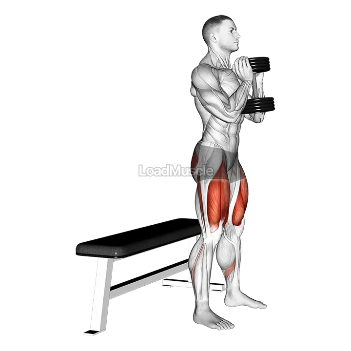 Dumbbell Goblet Box Squat demonstration