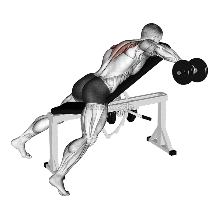 Dumbbell Incline Alternate Reverse Fly demonstration