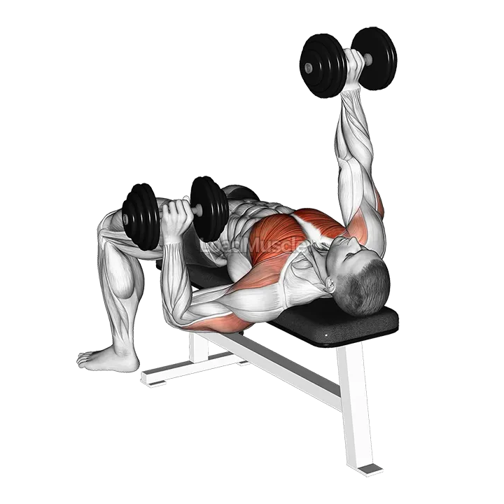 Dumbbell Alternate Bench Press (high start) demonstration