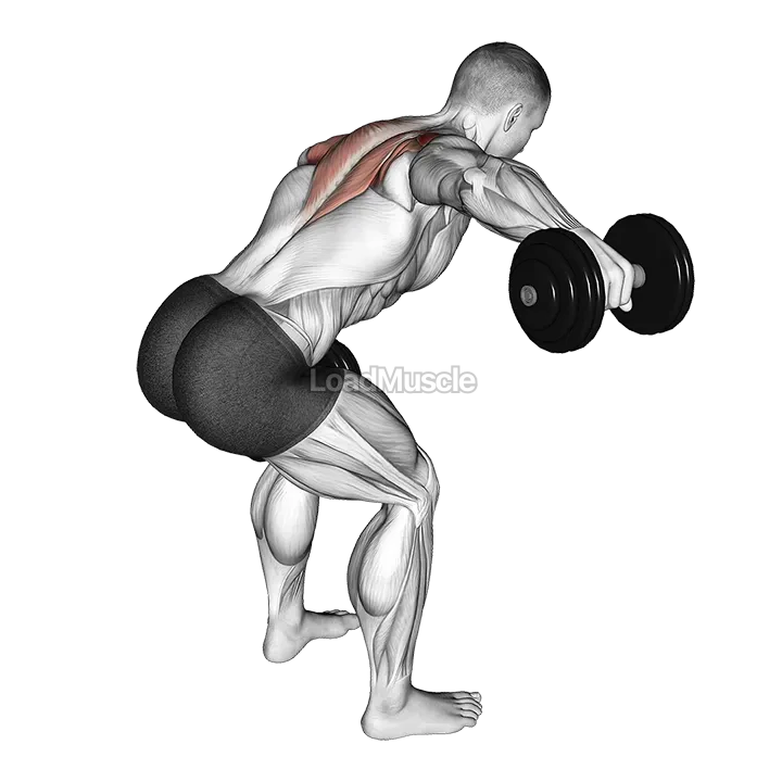 Dumbbell Bent Over Alternate Rear Delt Fly demonstration