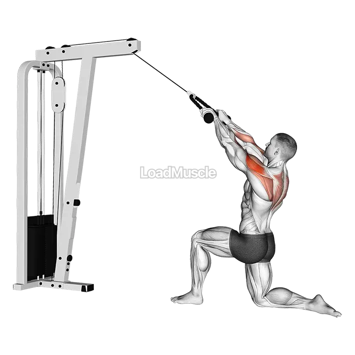 Cable Kneeling Rear Delt Row (with rope) demonstration