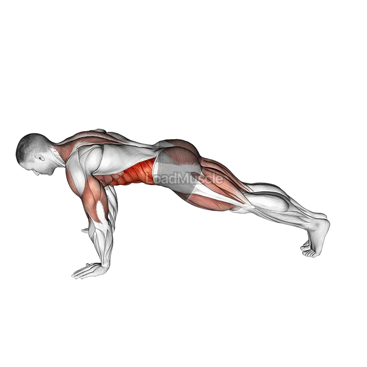 Inchworm demonstration