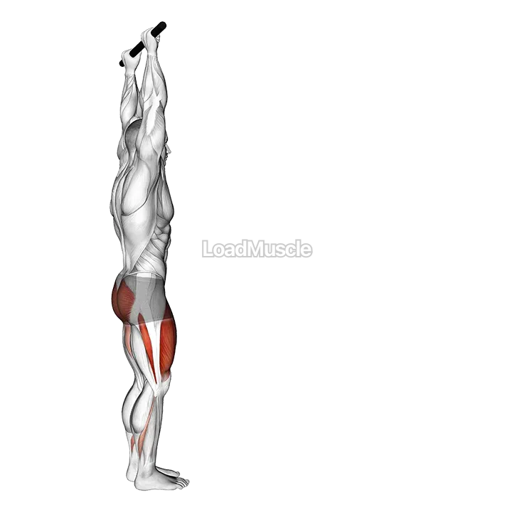 Forward Pulse Lunge with Hands Overhead demonstration