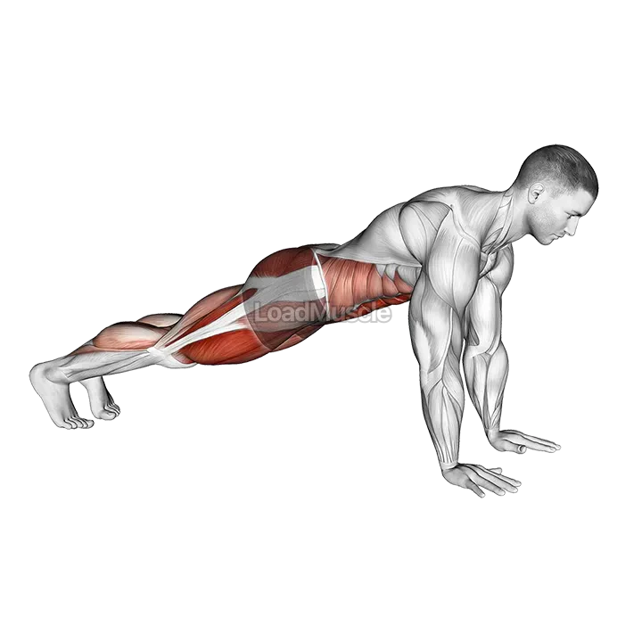 Frogger demonstration