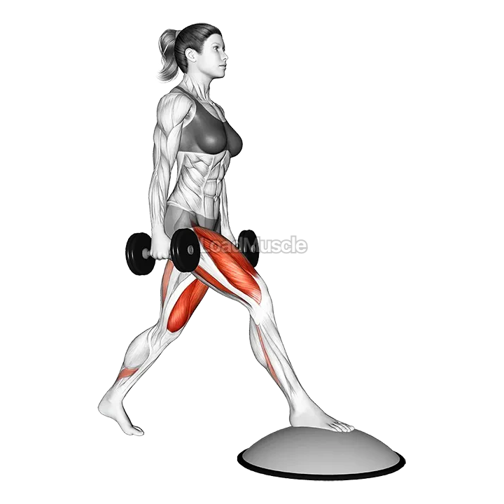 Dumbbell Split Squat Front Foot Elevanted with Bosu Ball demonstration