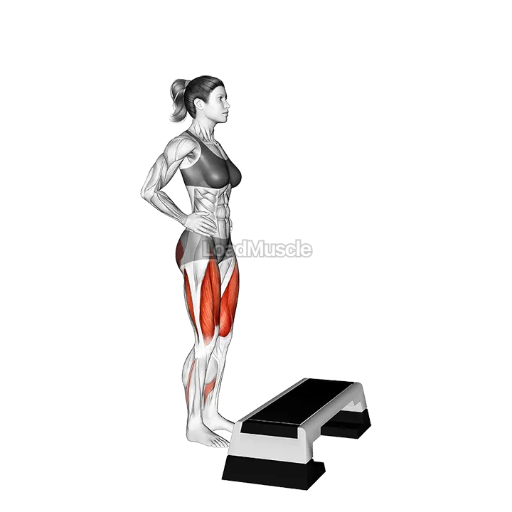 Single Leg Step Up demonstration