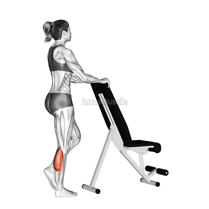 Standing Single Leg Calf Raise with Support demonstration