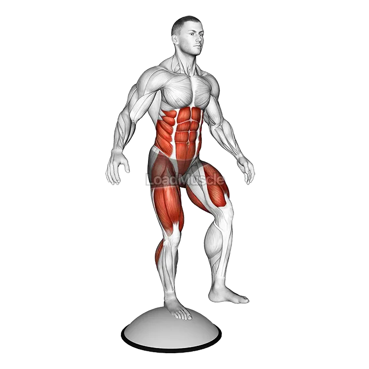 Single Leg Stand on Bosu Ball demonstration