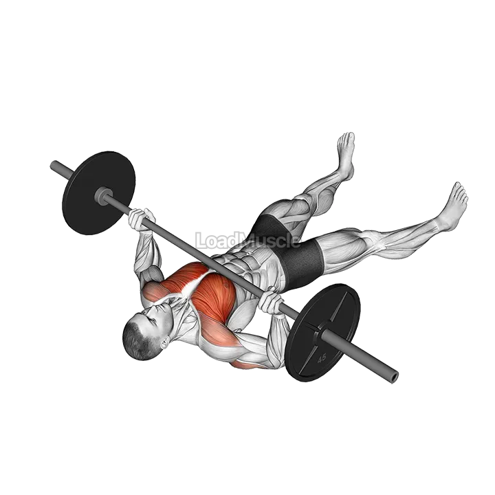 Barbell Floor Chest Press demonstration