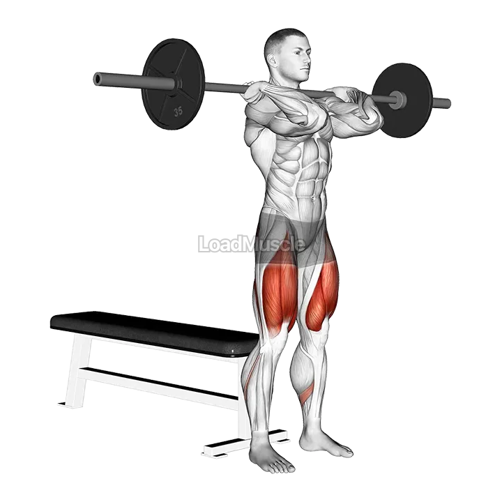 Barbell Front Bench Squat demonstration