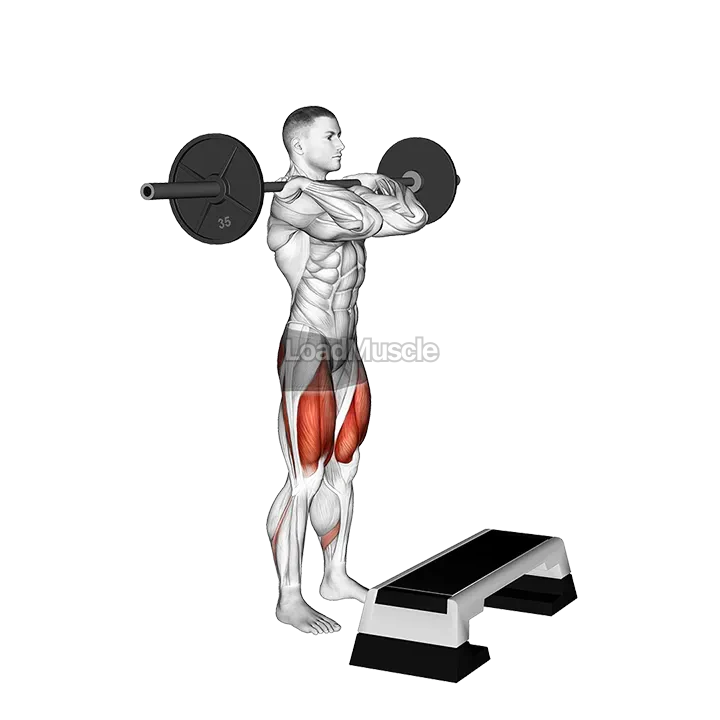 Barbell Front Step Up demonstration