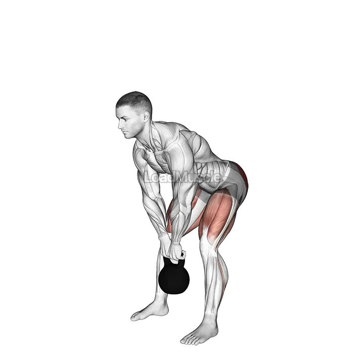 Kettlebell Straight leg Deadlift demonstration