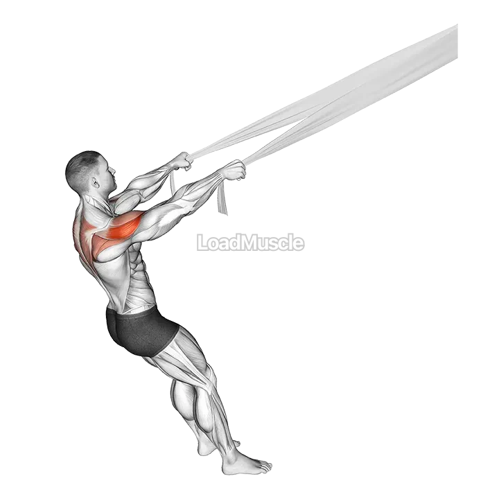 Rear Delt Fly with Bed Sheet demonstration