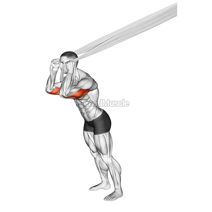 Overhead Triceps Extension with Bed Sheet demonstration