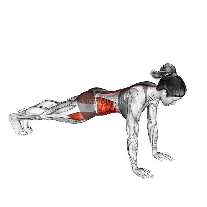 Front Plank Side Hop demonstration