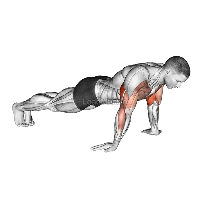 Reverse Push-up demonstration