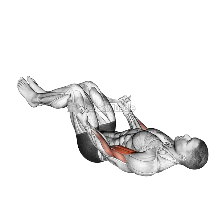Lying Double Legs Biceps Curl with Towel demonstration