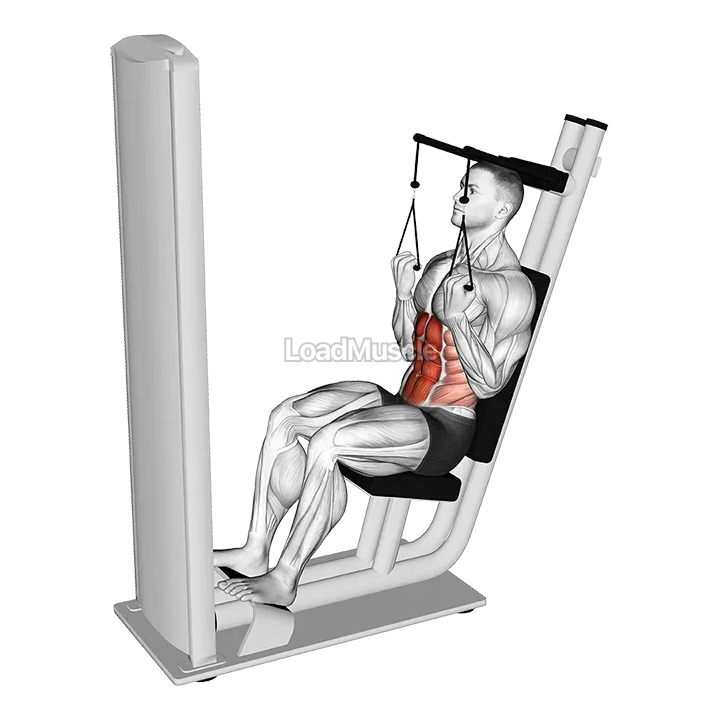 Lever Seated Crunch demonstration
