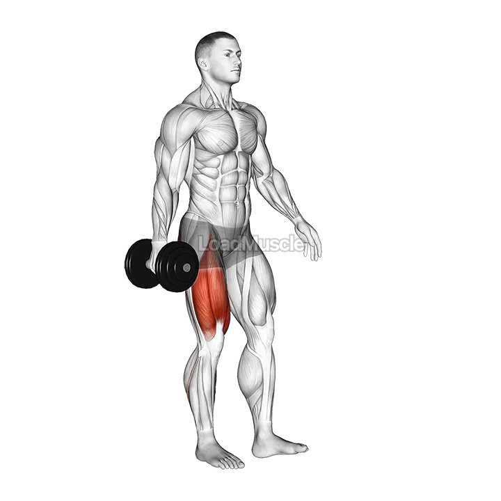 Dumbbell Single Leg Squat demonstration