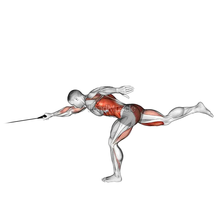 Band Single Stiff Leg Deadlift with Single Arm Row demonstration