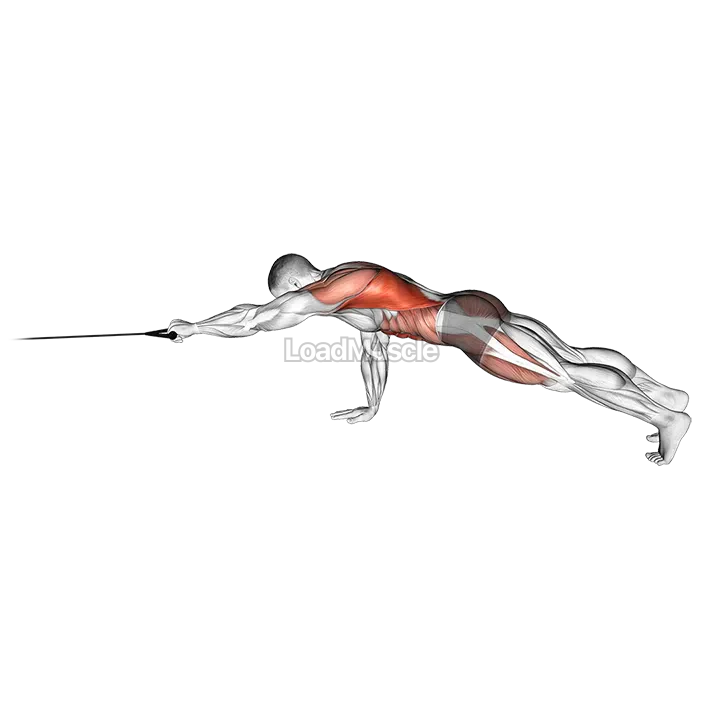 Band Front Plank with Single Arm Pulldown demonstration