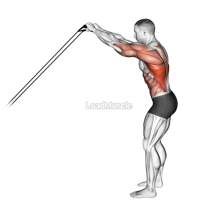 Band Skier demonstration