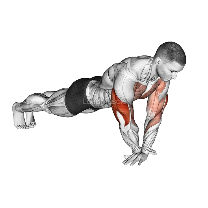 Cross Arms Push up demonstration