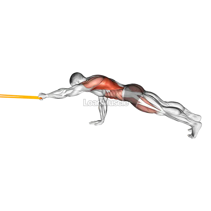 Resistance Band Front Plank with Single Arm Pulldown demonstration