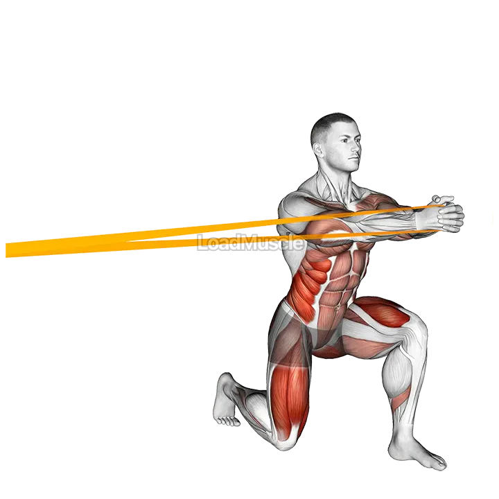 Resistance Band Split Squat with Horizontal Pallof Hold demonstration