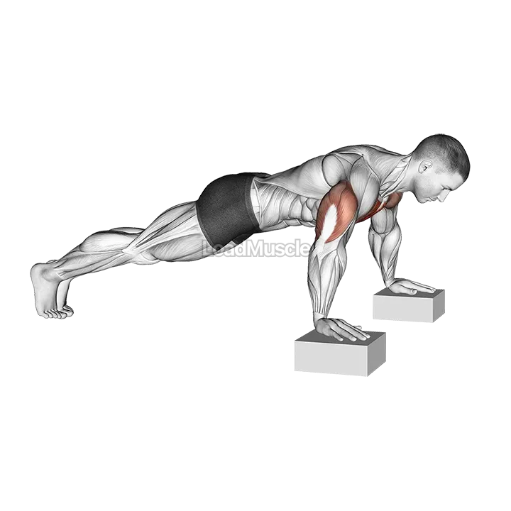 Elevated Push-Up demonstration
