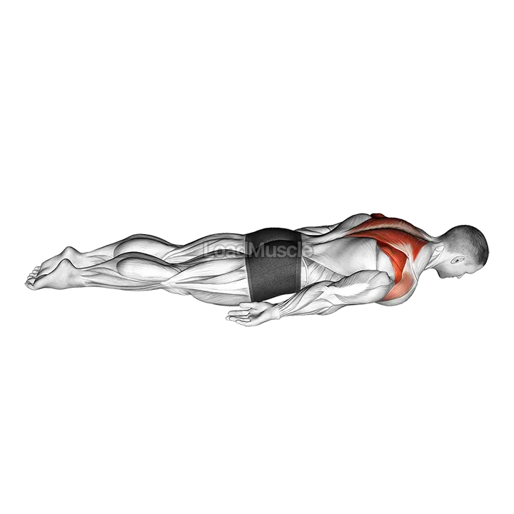 Pulse Row demonstration