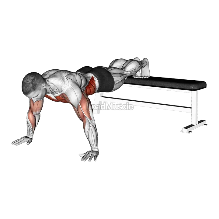 Decline Shoulder Tap demonstration