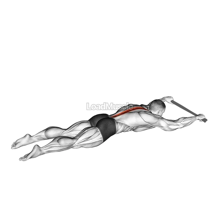 Lying Floor Hyperextension with Towel demonstration