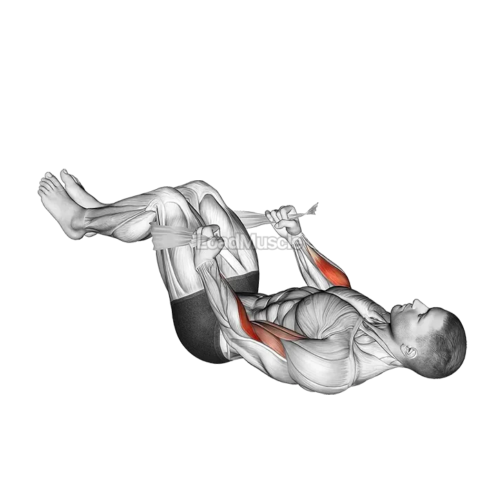 Lying Double Legs Hammer Curl with Towel demonstration