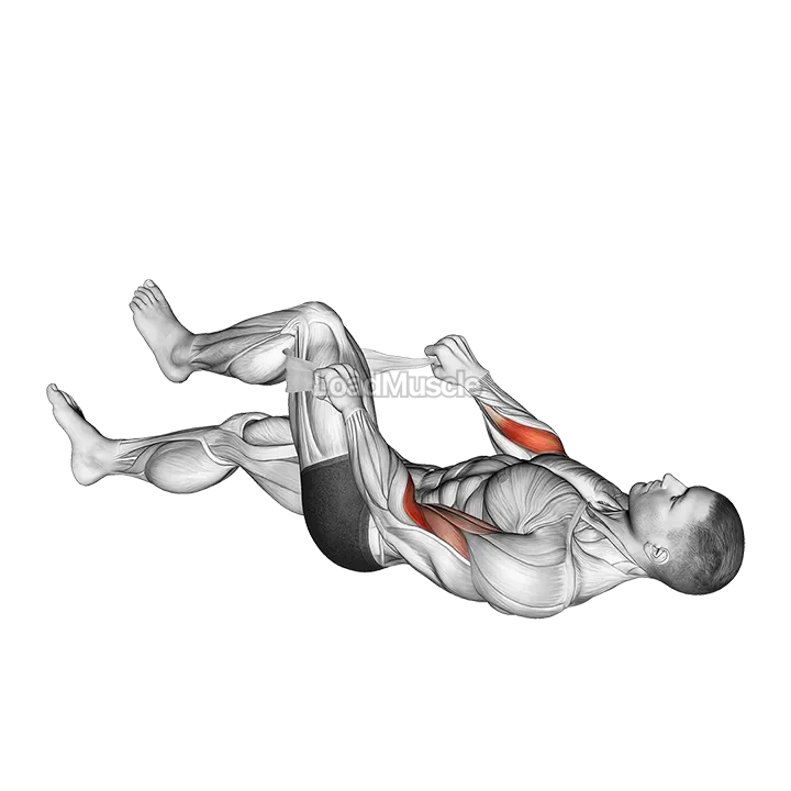 Lying Single Legs Reverse Biceps Curl with Towel demonstration