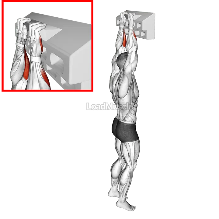 Handboard Half Crimp demonstration
