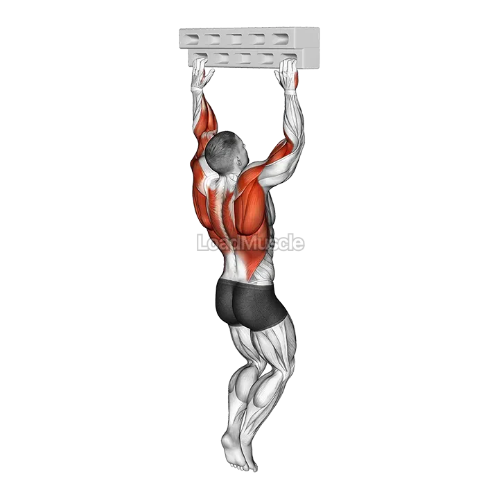 Handboard Hang with 135 Degree Elbow demonstration