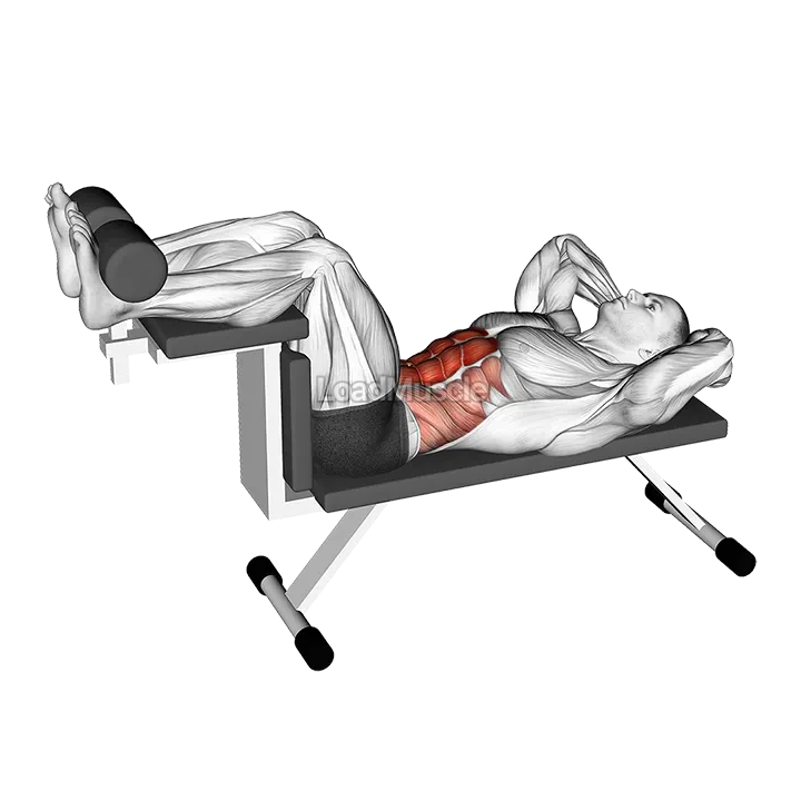 Crunch (on bench) demonstration