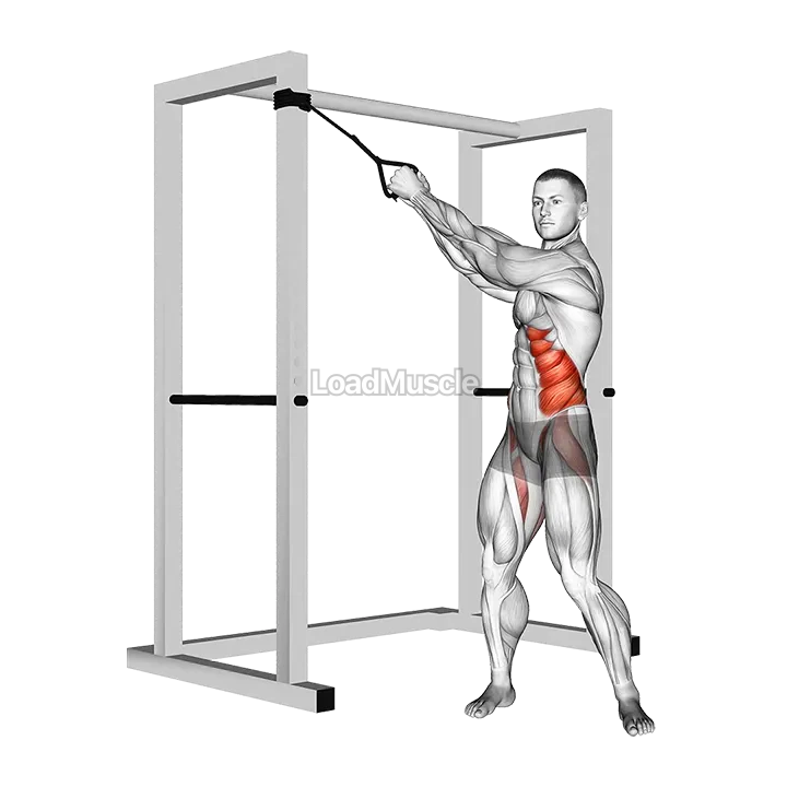 Band twist (up-down) demonstration