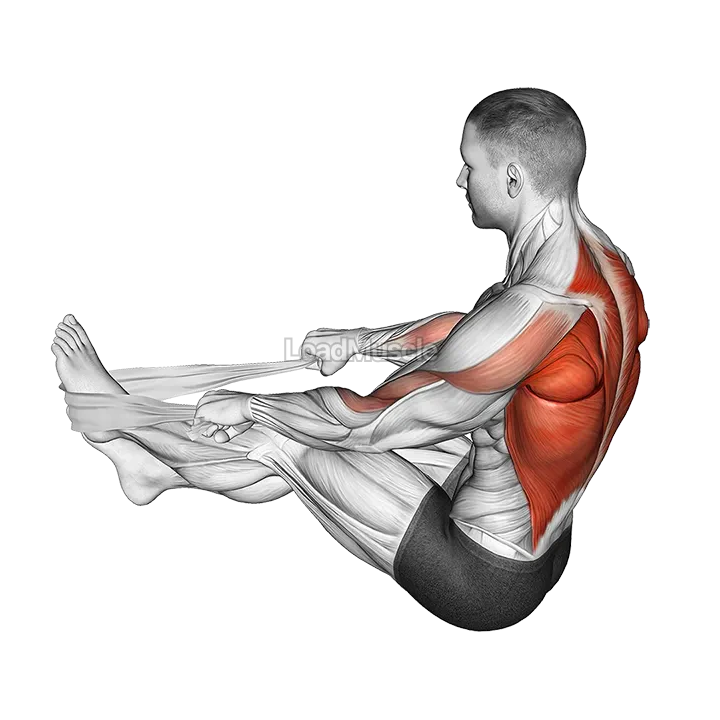 Seated Row with Towel demonstration