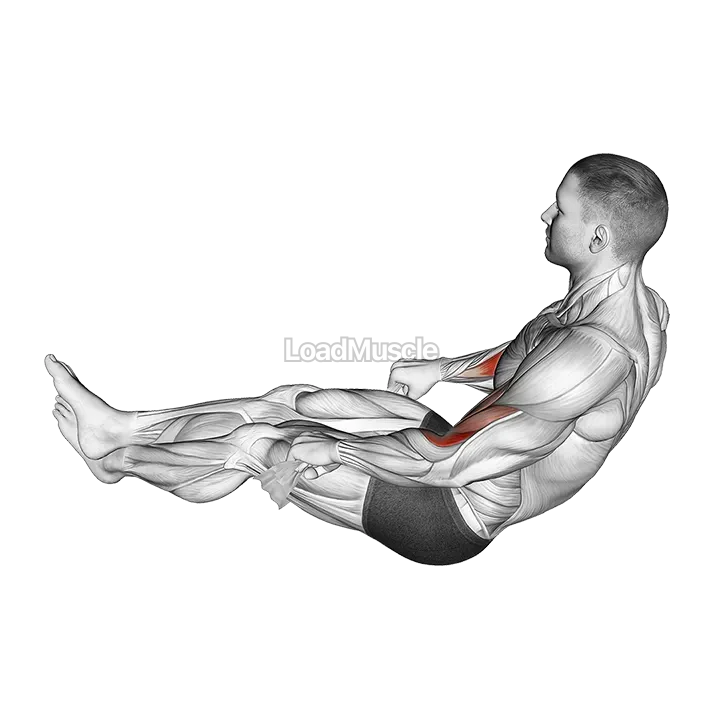 Two Legs Reverse Biceps Curl with Towel demonstration