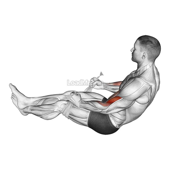 Two Legs Hammer Curl with Towel demonstration