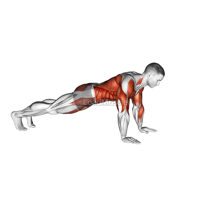 Front Plank Walkout demonstration