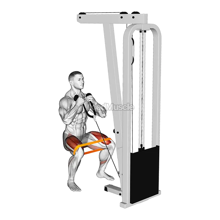 Resistance Band Cable Squat demonstration