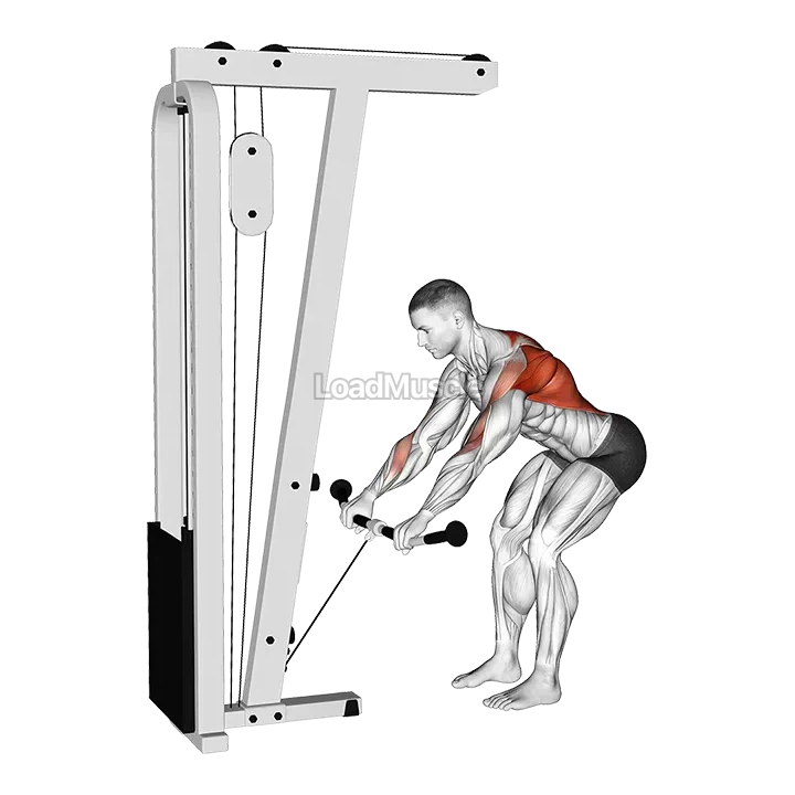 Cable Bent Over Row demonstration