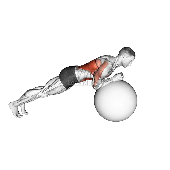 Exercise Ball Body Saw demonstration