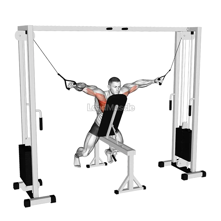 Cable Fly with Chest Supported demonstration