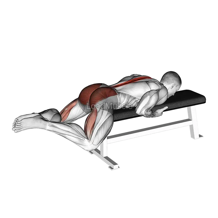 Frog Reverse Hyperextension (on a bench) demonstration